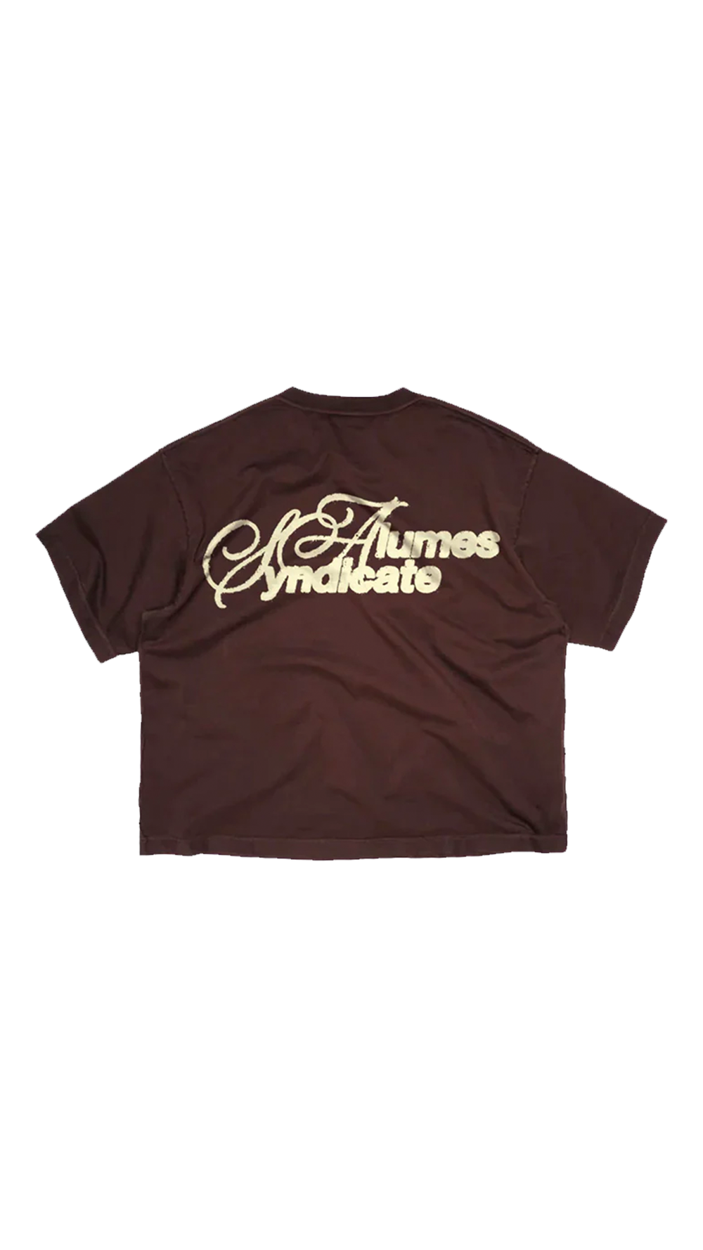 ALUMES SYNDICATE T-SHIRT BROWN