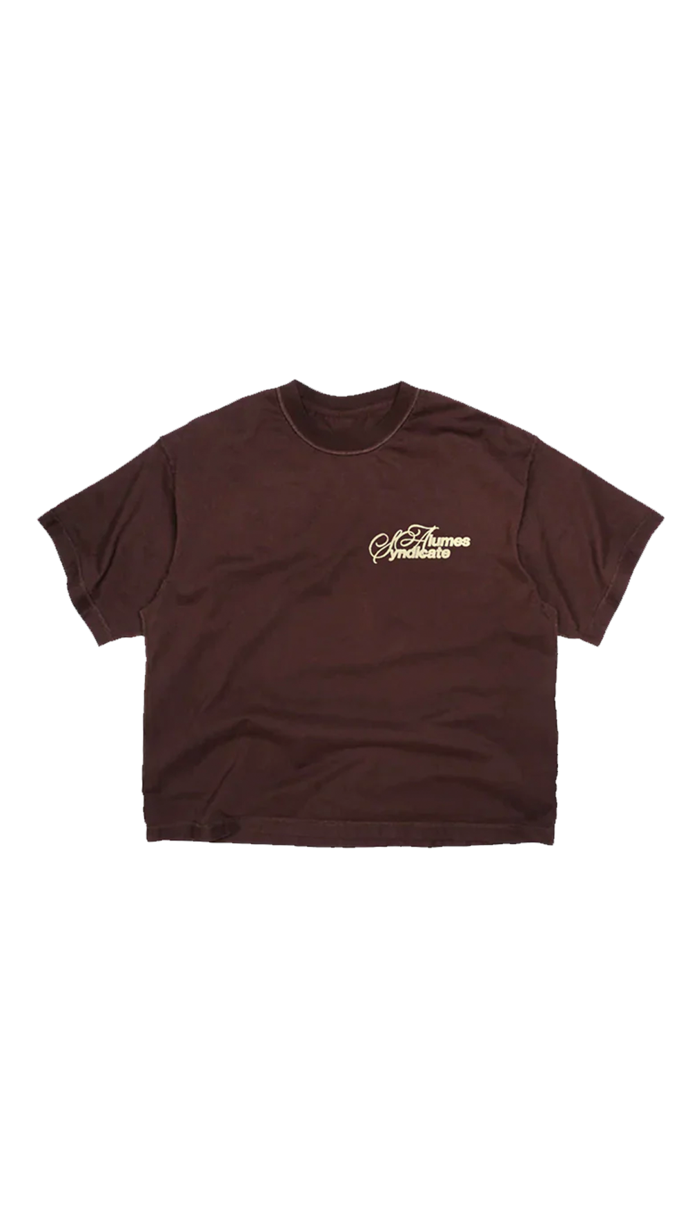 ALUMES SYNDICATE T-SHIRT BROWN